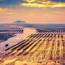 Huỳnh Bảy avatar